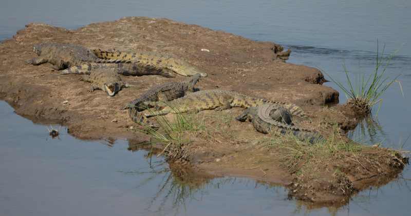 Crocodile River