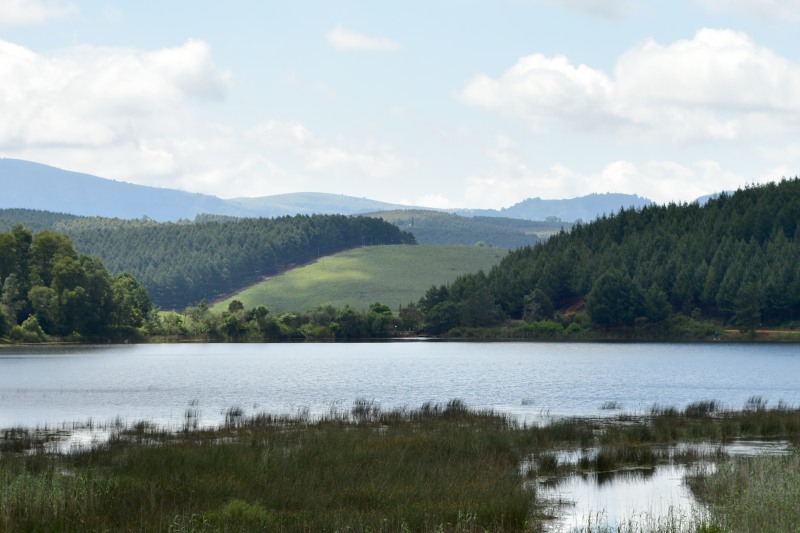 Stanford Lake