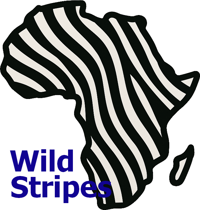 Zebras - it's all about the stripes